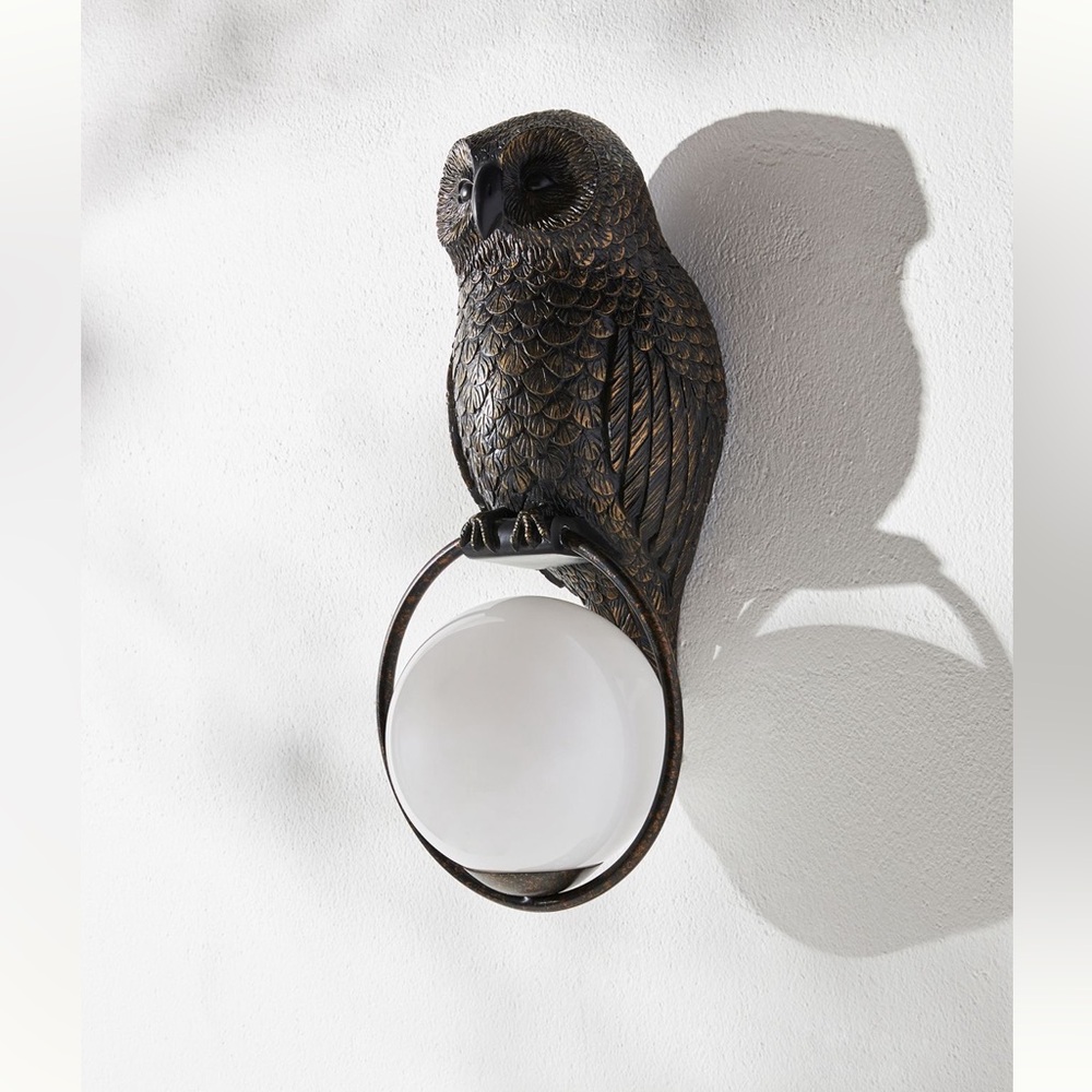 Anthropologie Woodland Frame  Owl Wall Sconce